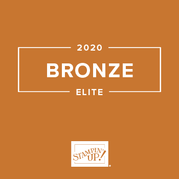 2020 Bronze Elite recognition