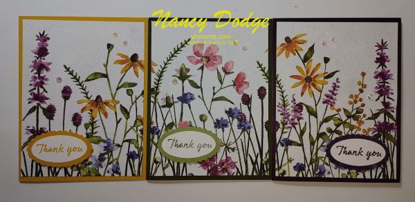 2 dainty delight cards made with dsp page
