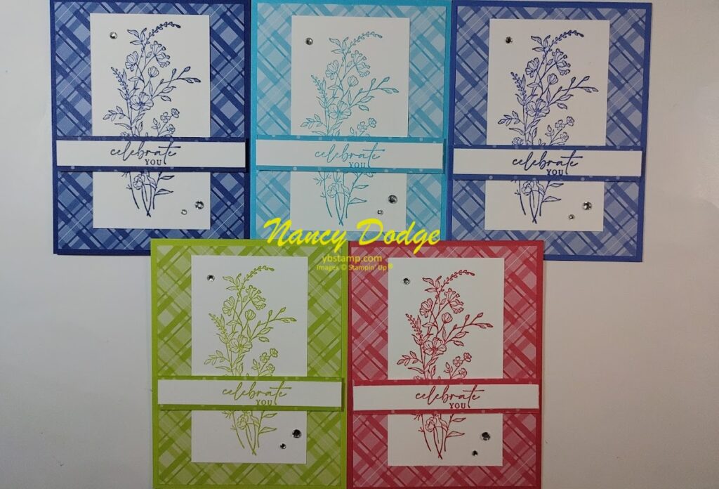 5 cards made with dainty delight stamp set and 2022-2024 In Color ink & cardstock