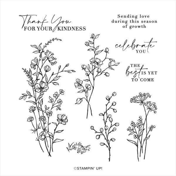 dainty delight stamp set by stampin' up with flowers and various sayings