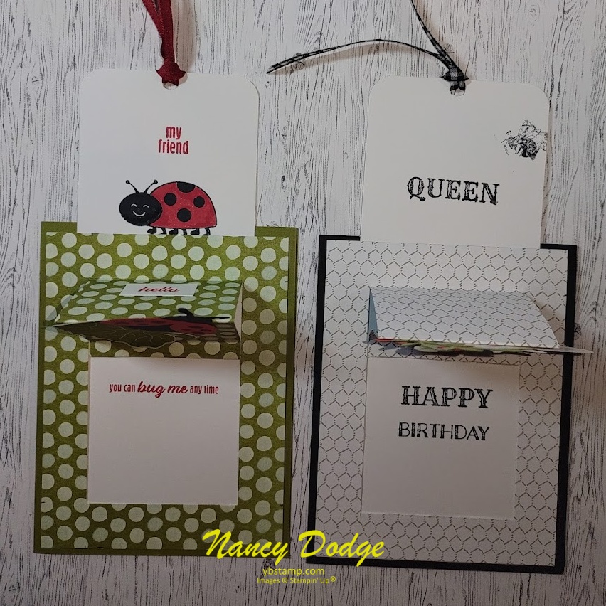 Mystery Card class sample of Pop-Up card, pictured are 2 of the cards pulled out, 1 with a ladybug theme and one with a queen bee theme