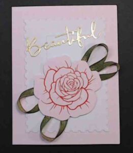 Read more about the article Special Delivery – January 2026