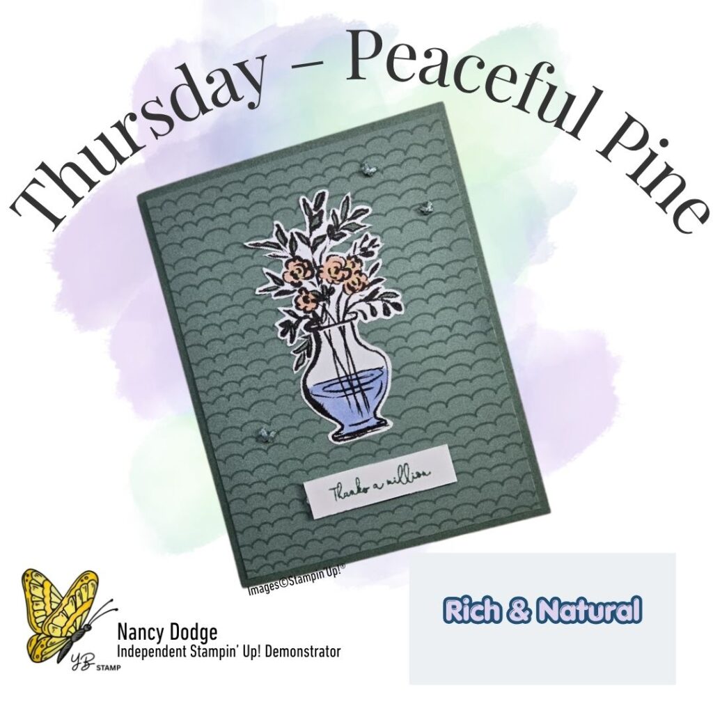 In Color Thursday Peaceful Pine