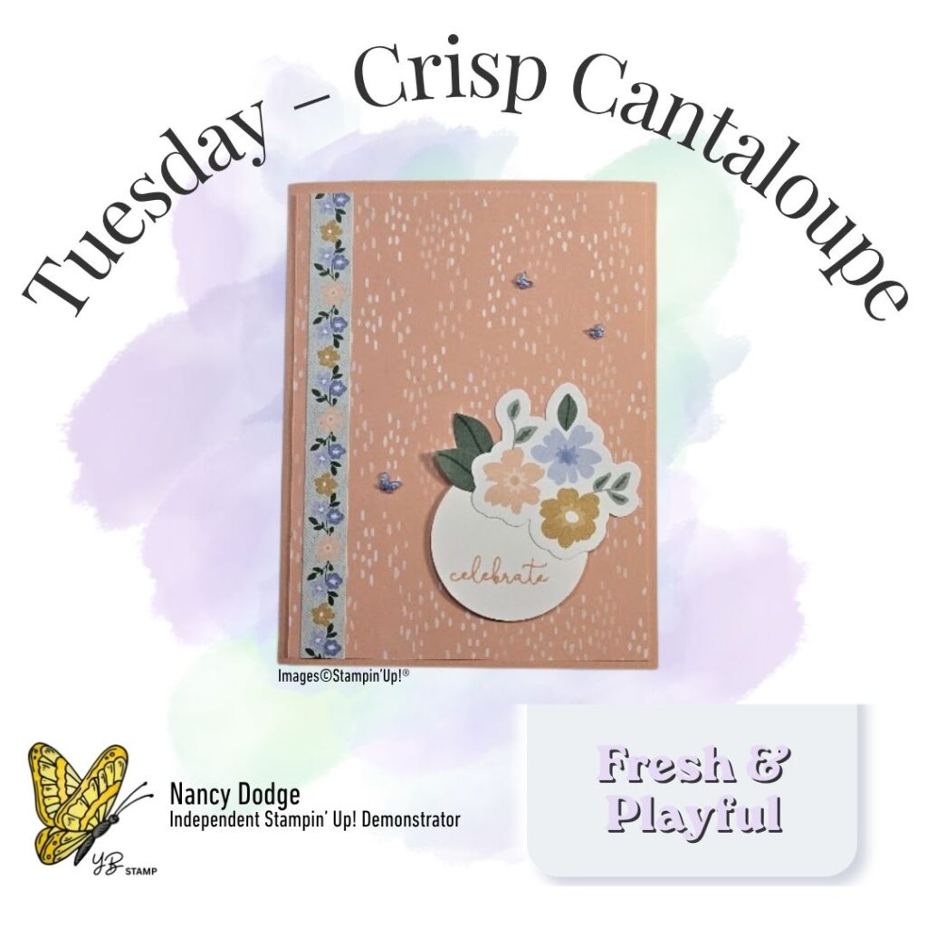 In Color Tuesday Crisp Cantaloupe