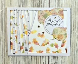 Read more about the article APPT – Aspens of Gratitude