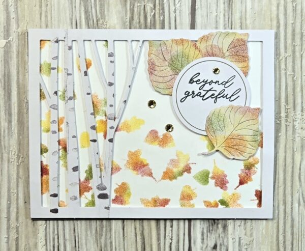 Read more about the article APPT – Aspens of Gratitude