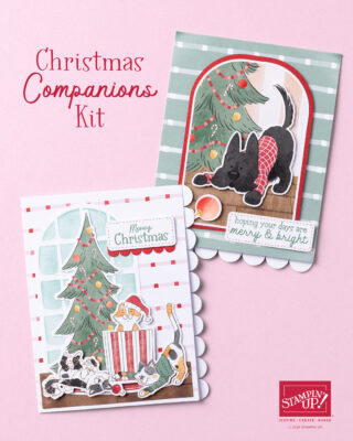 Christmas Companions Kit